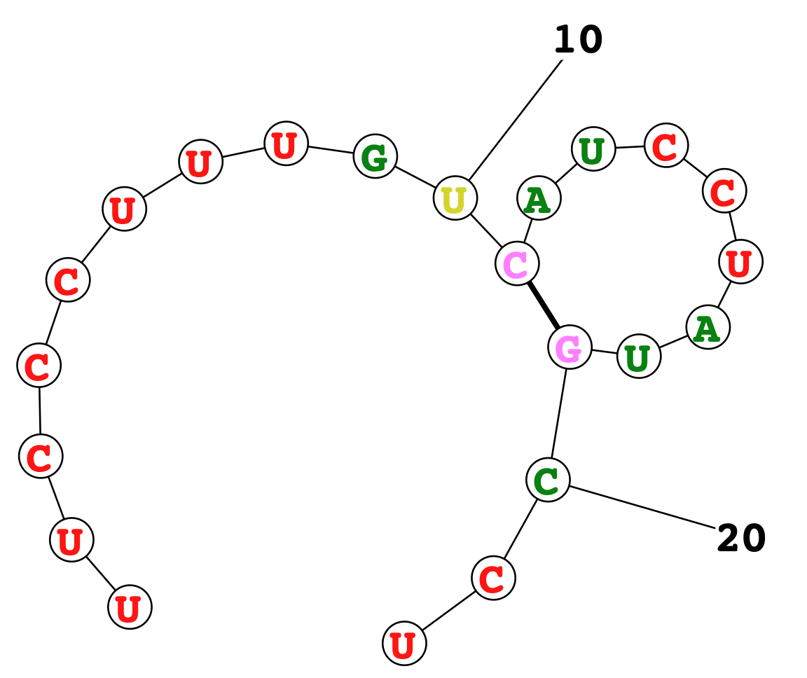 RNA secondary structure diagram (placeholder)