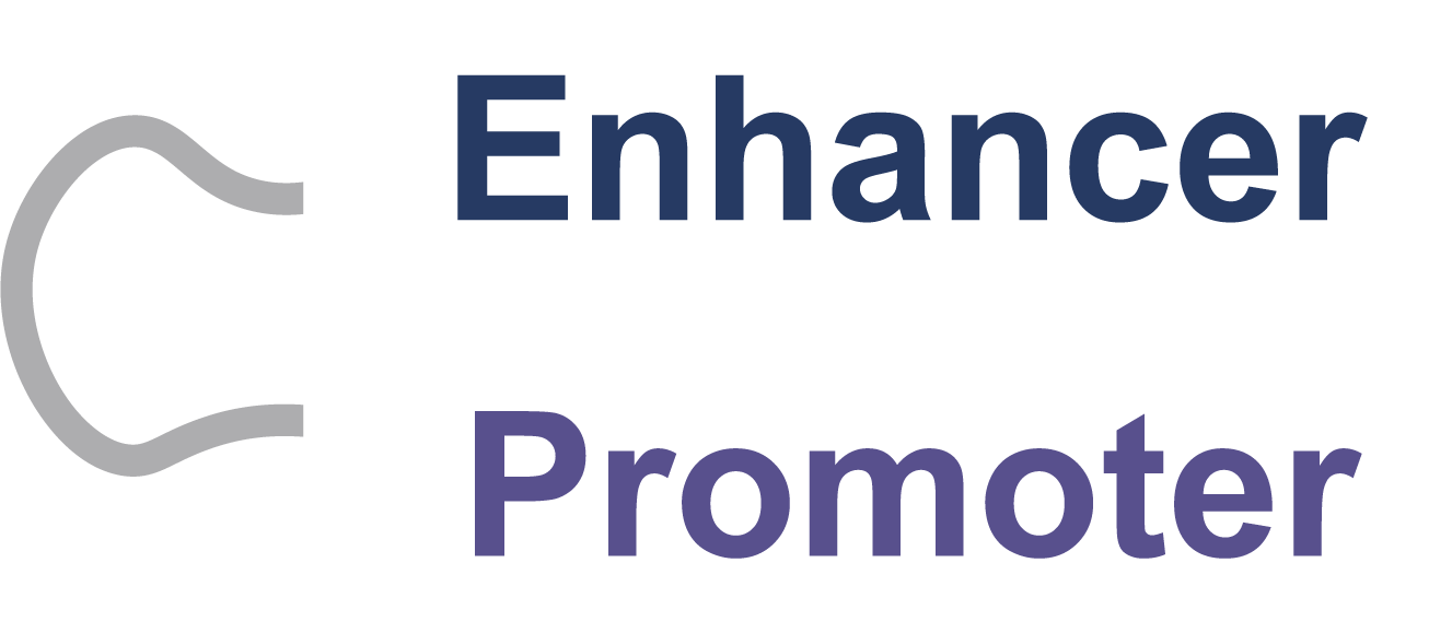 Enhancer or promoter