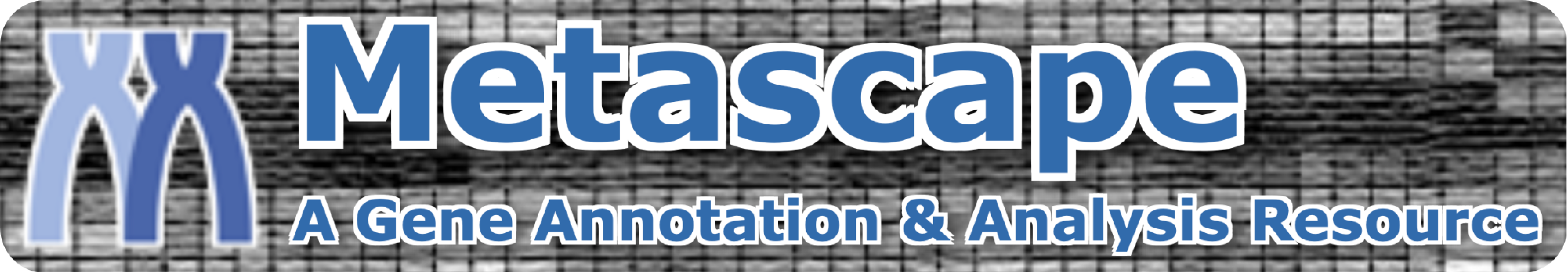Metascape — A Gene Annotation & Analysis Resource